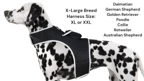 Easy Smartphone Tracking with Waterproof Mini Pet GPS Tracking Device Size:XL