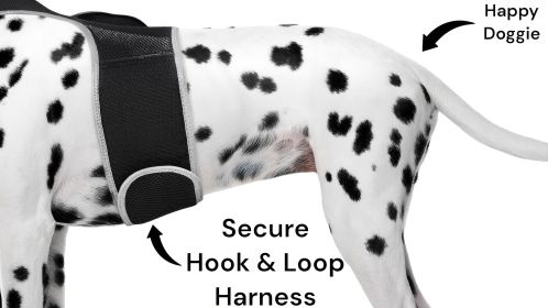 Waterproof Wireless Pet Tracker Rechargeable GSM GPS Collar for Dogs Size:S