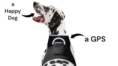 Secure Dogs Cats with Pet Tracker GSM GPS Phone Pet Tracker + Realtime App Size:L