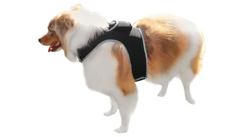 Waterproof Pocket Realtime GPS GSM Dog Tracking Unit USB Rechargeable Size:L