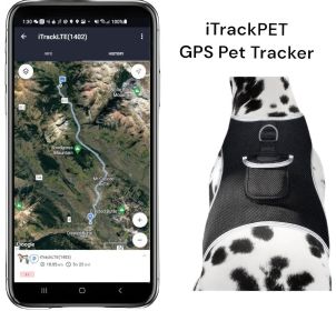 Reputable Dog Track Realtime System Rechargeable GPS Pet Finder Tracking Gadget Size:L