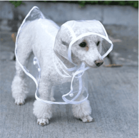 Transparent Waterproof Dog Raincoat - Stylish Protection For Your Pup (Color: White, size: Xl)