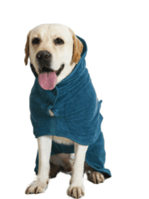 Super Absorbent Pet Bathrobe: Quick-Drying Comfort For Your Furry Friend (Color: Dark blue, size: 2Xl)