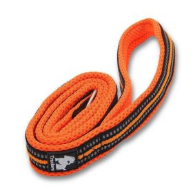 The Ultimate Stretchable Nylon Pet Dog Leash In Vibrant Colors (Color: Orange, size: 1.5Cm×110Cm)